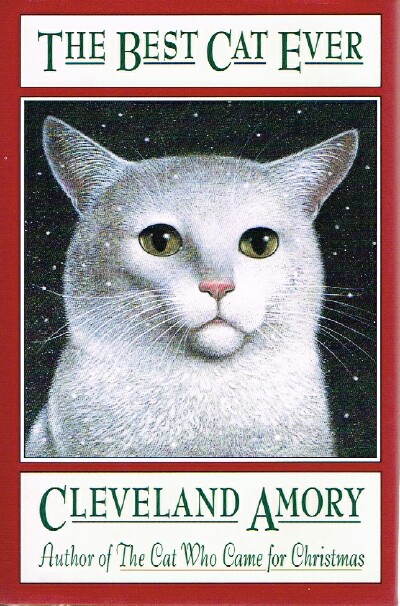 The Best Cat Ever Image for The Best Cat Ever