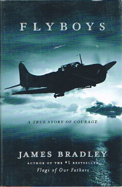 Image for Flyboys