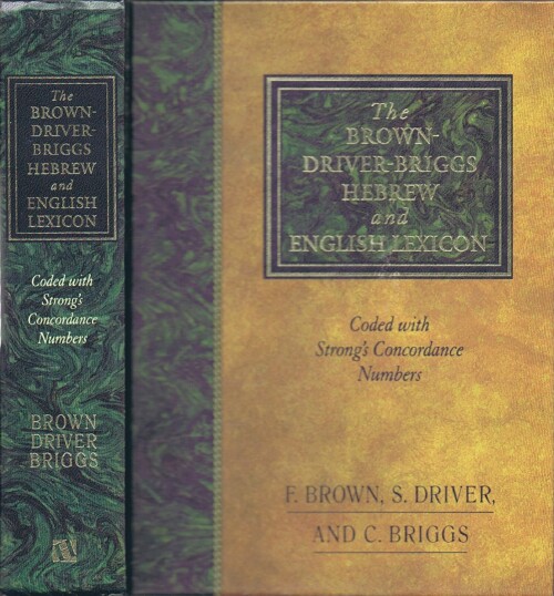 Image for The Brown-Driver-Briggs Hebrew and English Lexicon: With an Appendix containing the Biblical Aramaic: Coded with the Numbering System from Strong's Exhaustive Concordance of the Bible