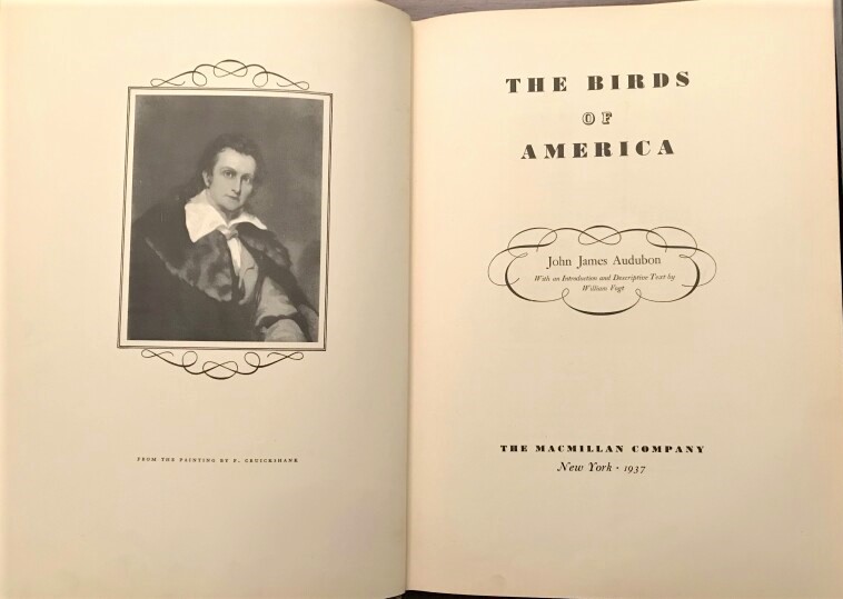 Image for The Birds of America