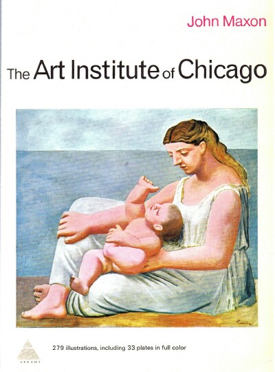 Image for The Art Institute of Chicago