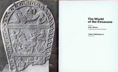 Image for THE WORLD OF THE ETRUSCANS