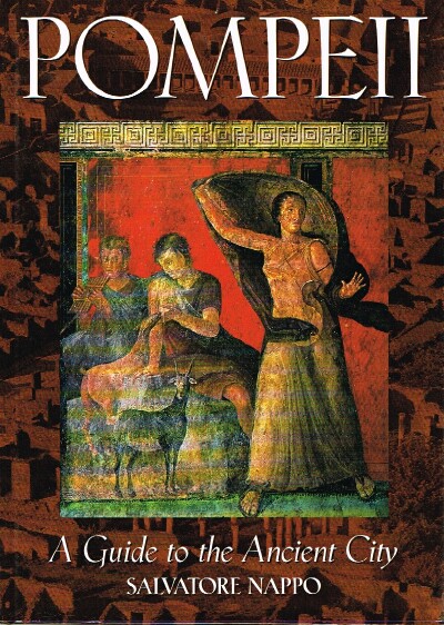Image for Pompeii A Guide to the Ancient City
